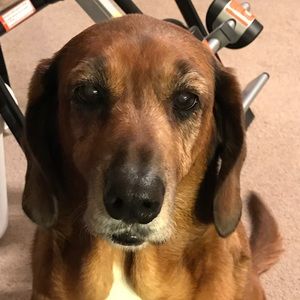 Meet your Posher, April